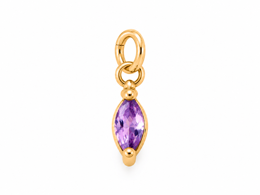 February Gold Oval Birthstone Charm